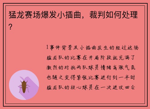 猛龙赛场爆发小插曲，裁判如何处理？